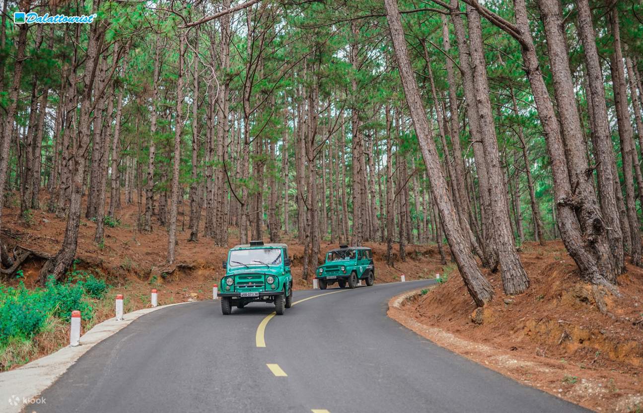 ジープに乗って松林を駆け抜け、新鮮な空気を満喫しましょう